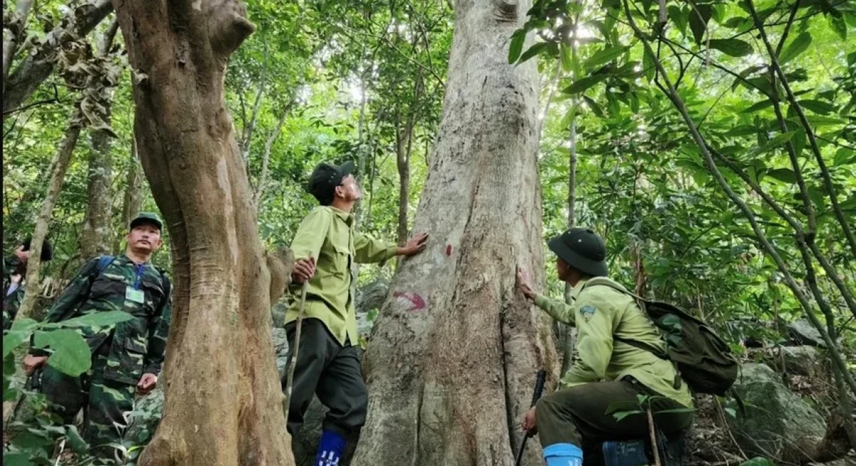kham-pha-cac-to-chuc-phi-loi-nhuan-ve-moi-truong-tai-viet-nam (4)