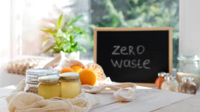 phong-trao-zero-waste-kitchen-o-chau-au-khi-bep-an-than-thien-voi-trai-dat (1)