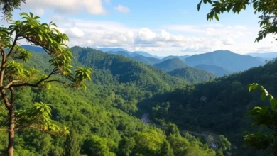 dong-suoi-nui-cao-moi-nguy-am-tham-tu-o-nhiem-it-ai-de-y (2)