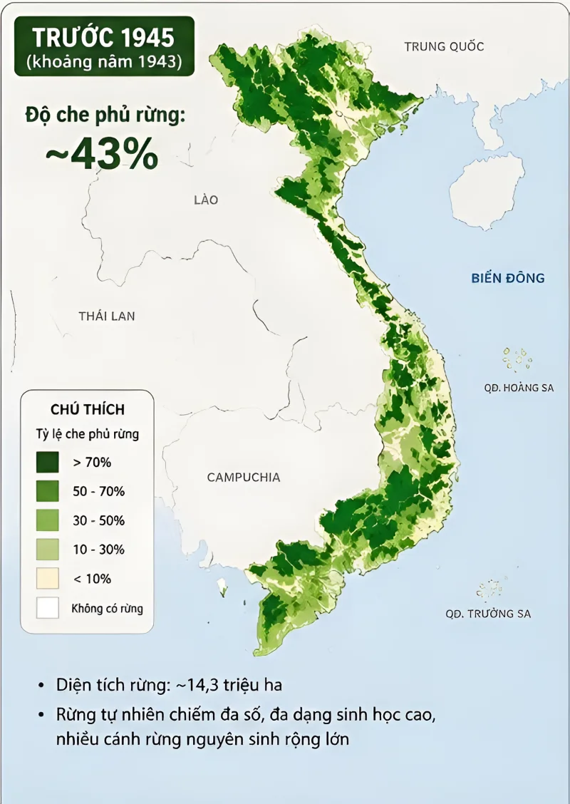 hanh-trinh-viet-nam-gianh-lai-nhung-canh-rung-da-mat (2)