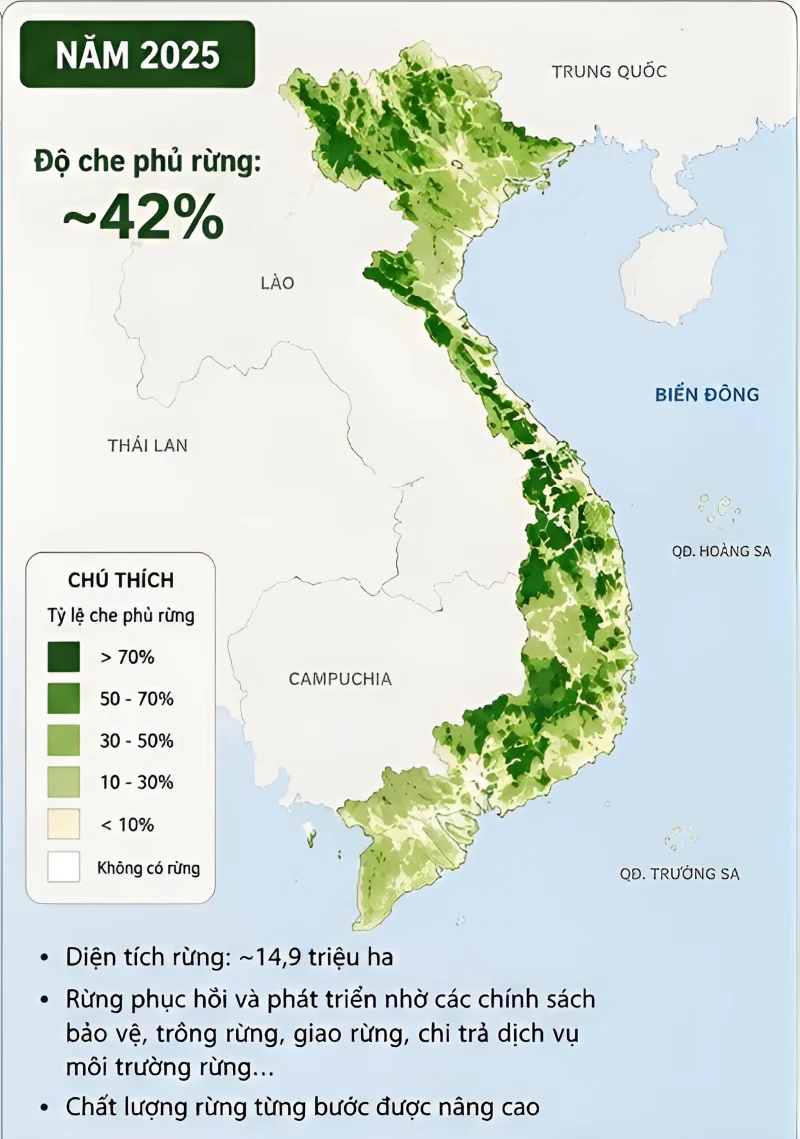 hanh-trinh-viet-nam-gianh-lai-nhung-canh-rung-da-mat (4)